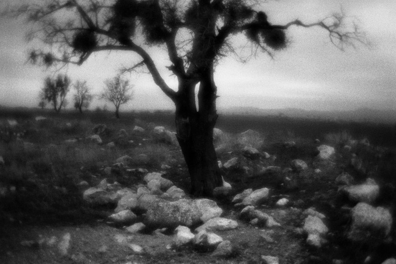 The Anatolian landscape, between Kirikkale and Yozgat, Central Anatolia region, Turkey. January 2010