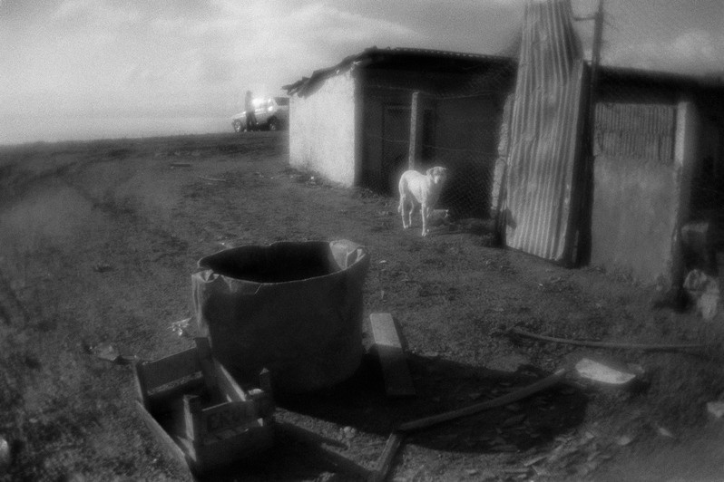 Around the kennel for dogs, near Sinop, Turkey. January 2009