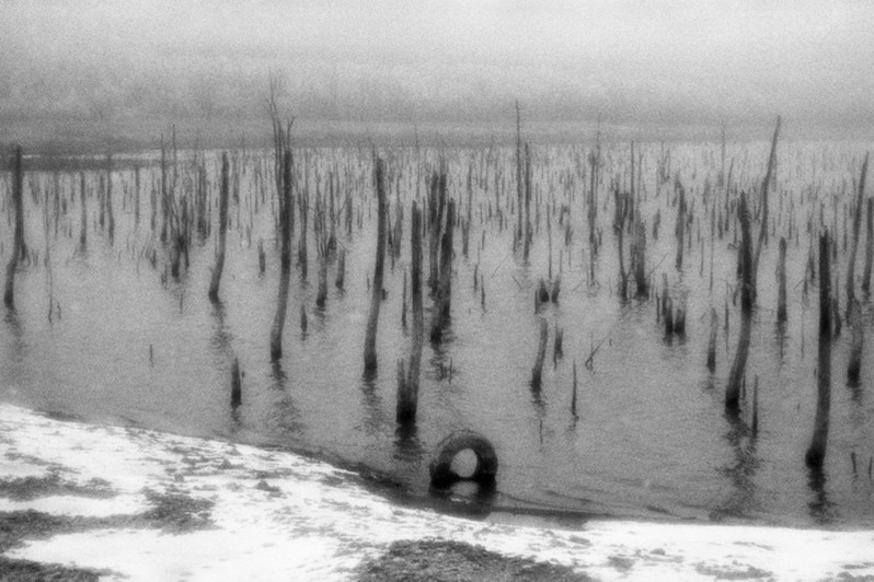 Озеро Тамбукан, на границе между Ставропольским краем и Кабардино-Балкарской Республикой, Россия. Январь 2021