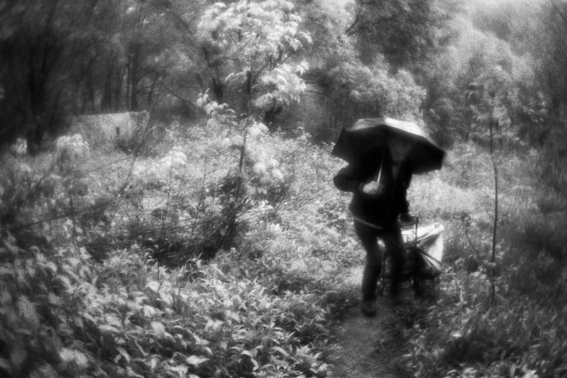 Саша по скользкому грунту во время дождя, пытается выбраться из оврага, чтобы отвезти собранный металл в центр переработки, район Тропарёво-Никулино, Москва, Россия. 22 мая 2015