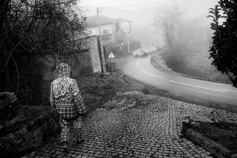 “Careta” carrying his “verdascas de negrilho” on the way to the start of the “Ronda”, Bragança municipality, Bragança district, Trás-os-Montes region, Portugal. 2019