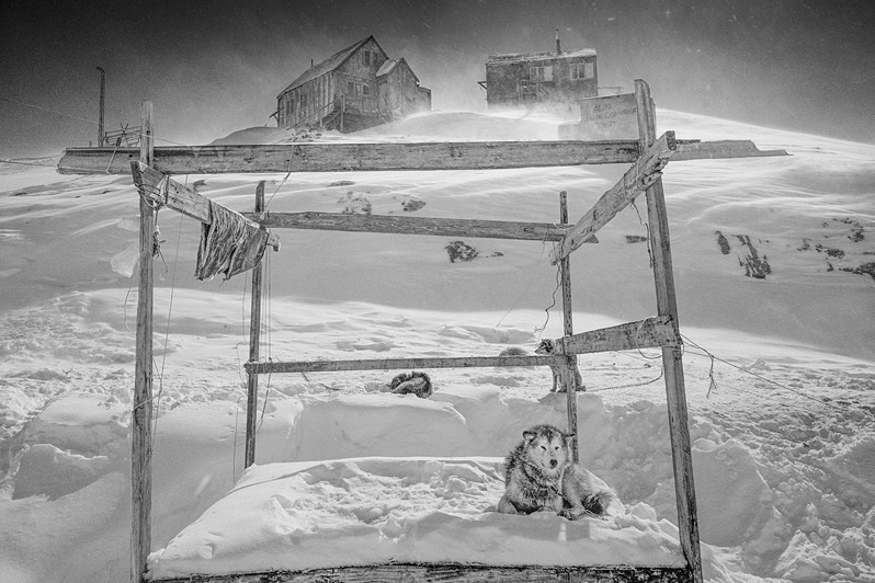 Ragnar Axelsson / Arctic Heroes. Noga Creative Union