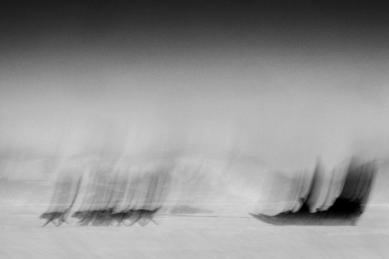 Ragnar Axelsson / Arctic Heroes. Noga Creative Union