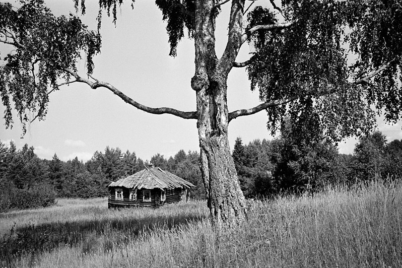 деревня Татарская Гора, Пудожский район, Карелия, Россия. 2013