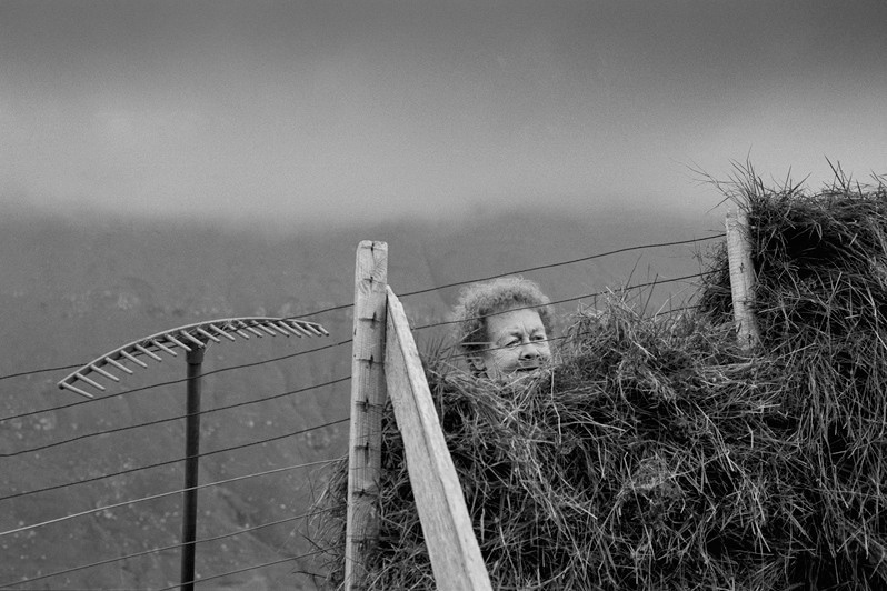 Heynina Högnesen making hay on the slopes over Funningur, Funningur village, Runavíkar municipality, Faroe Islands, Kingdom of Denmark. 1997