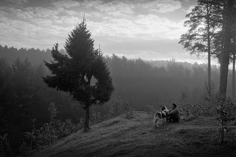 Лесной пейзаж, близ Зеленодольска, Татарстан, Россия. 1994