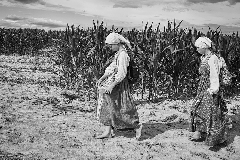 near Pavlovo village, Borisoglebsky district, Yaroslavl region, Russia. July 2021