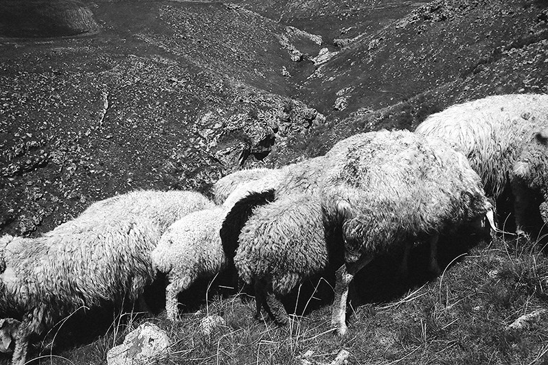 near Karakhunj village, Syunik province, Armenia. 2014