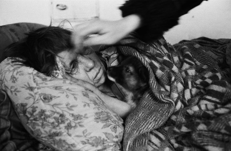 село Покровка, Чановский район, Новосибирская область, Россия. 2010