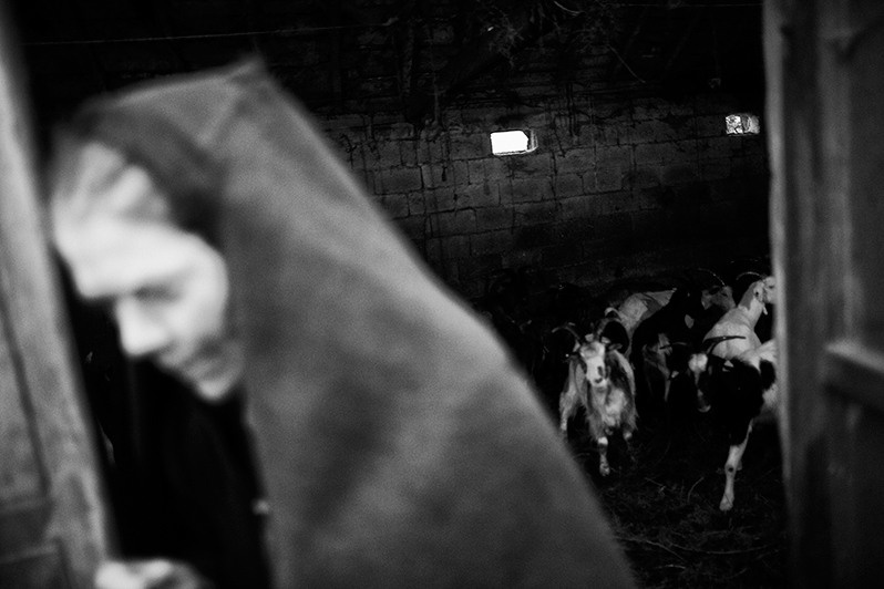 Woman guards the goats inside the corral, Montalegre municipality, Vila Real district, Trás-os-Montes region, Portugal. 2015