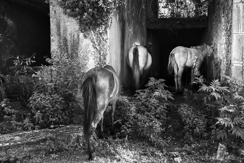 Shelter, Gali, Republic of Abkhazia. October 2013