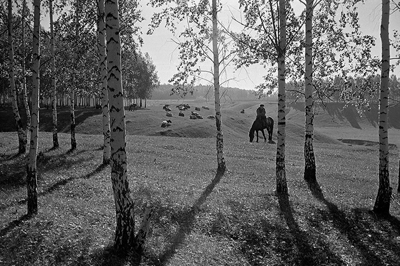 Последние выпасы, Зеленодольский район, Татарстан, Россия. 1992