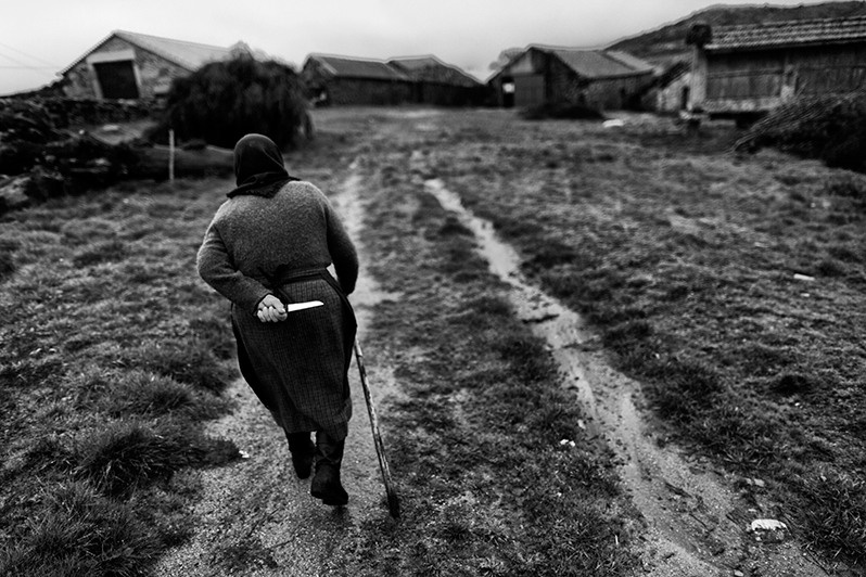 Woman walks to her field to cut a cabbage, Boticas municipality, Vila Real district, Trás-os-Montes region, Portugal. 2015