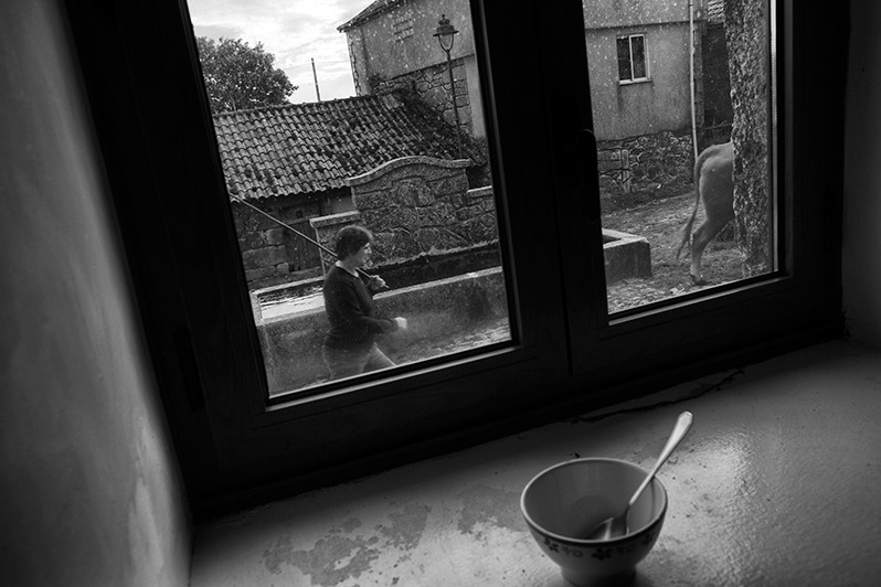 Woman leading cows into a cattle corral, Montalegre municipality, Vila Real district, Trás-os-Montes region, Portugal. 2016