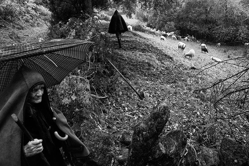 Mother and son in the field with their flock of sheep, Montalegre municipality, Vila Real district, Trás-os-Montes region, Portugal. 2017