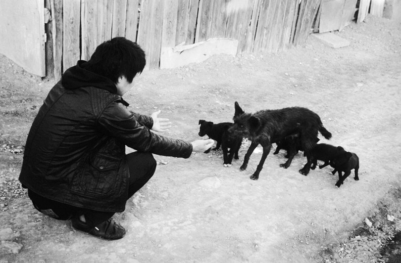 Ulaanbataar, Mongolia. 2010