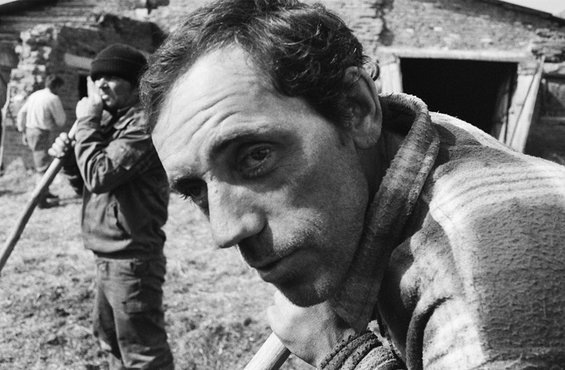 село Покровка, Чановский район, Новосибирская область, Россия. 2010