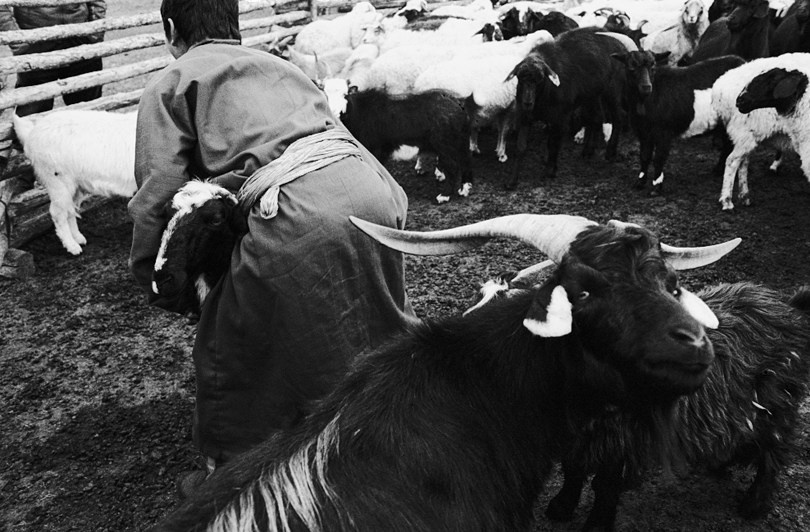 Khövsgöl province, Mongolia. 2009