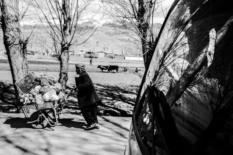 Spring work in the field, on land cultivated by buffalo or by hand, Bamyan province, Afghanistan. 2024