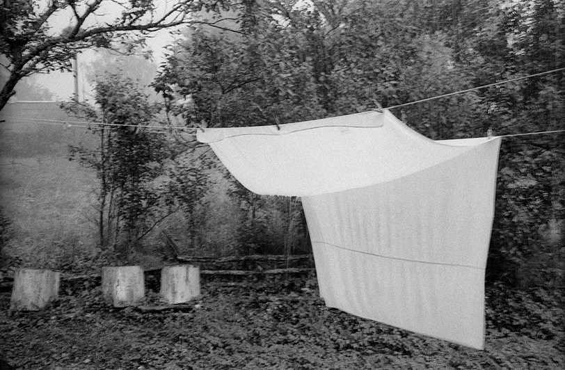 деревня Самолва, Гдовский район, Псковская область, Россия. 2010