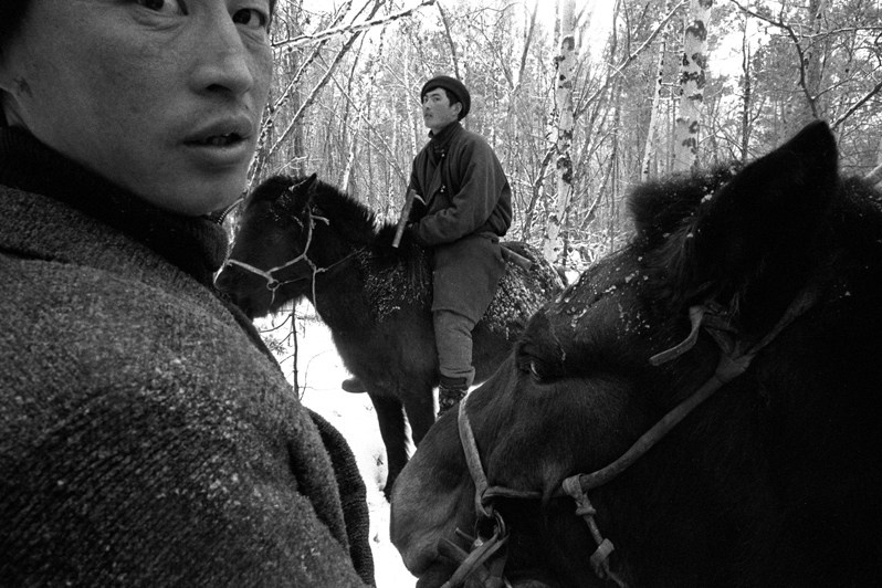 Тайна белого леса, близ деревни Дунд Урт, Баянцогтский район, провинция Туве, Монголия. Январь 2002