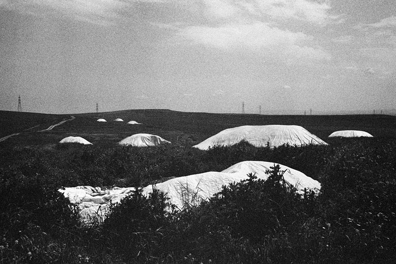 Стога сена, заготовленные для кормления животных зимой, близ Батмана, Турция. 2015