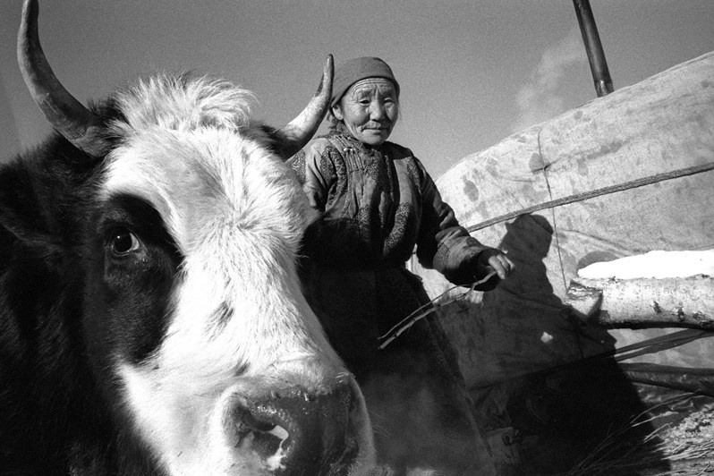 Ищем кое-что!, Жаргалантский район, провинция Туве, Монголия. Январь 2002