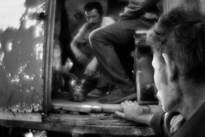 Сторож лодочной станции, Лысково, Нижегородская область, Россия. Август 2019