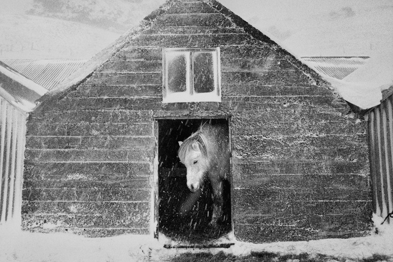 Under the mountains of Eyjafjöllm, Southland, Rangarting Aistra region, Iceland. 1995