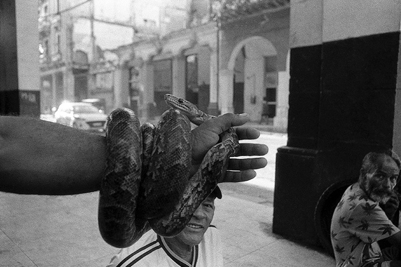 Daily life on Monte street, one of the capital's busiest streets with a long tradition of selling animals of all kinds, Centro Habana district, Havana, Cuba. 2023
