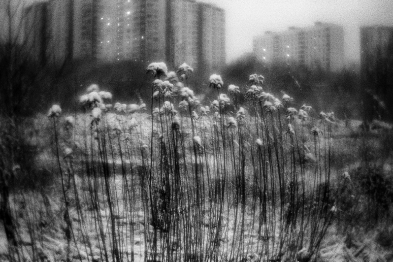 Вид из палатки Бориса на дом, где живет его отец, район Тропарёво-Никулино, Москва, Россия. 20 апреля 2015