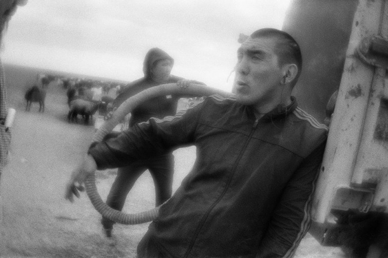 Водовоз привёз воду из колодца, чтобы напоить овец, посёлок Эрдниевский, Юстинский район, Республика Калмыкия, Россия. Сентябрь 2017