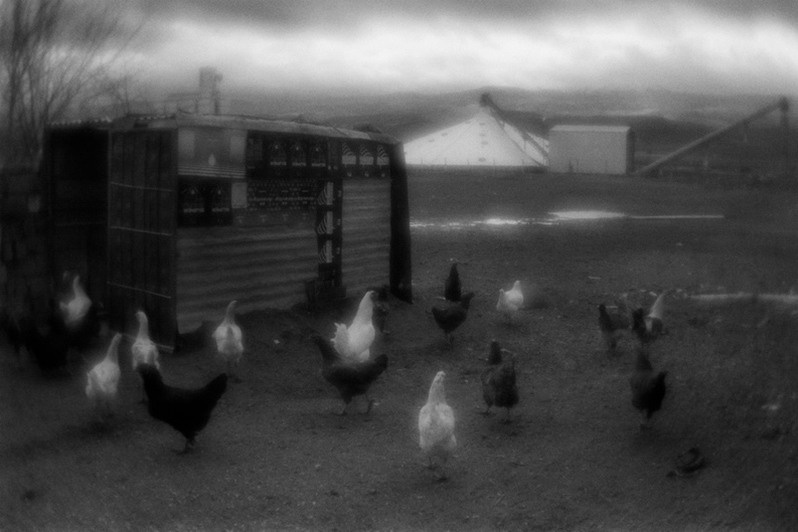 The coop against the backdrop of a granary east of Ankara. between Kirikkale and Yozgat, Central Anatolia region, Turkey. January 2010