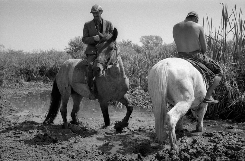 близ посёлка Касторное, Курская область, Россия. 2008