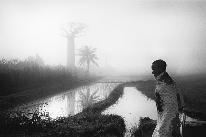 Menabe farmer, near Morondava, Menabe region, Toliara province, Republic of Madagascar. 2011