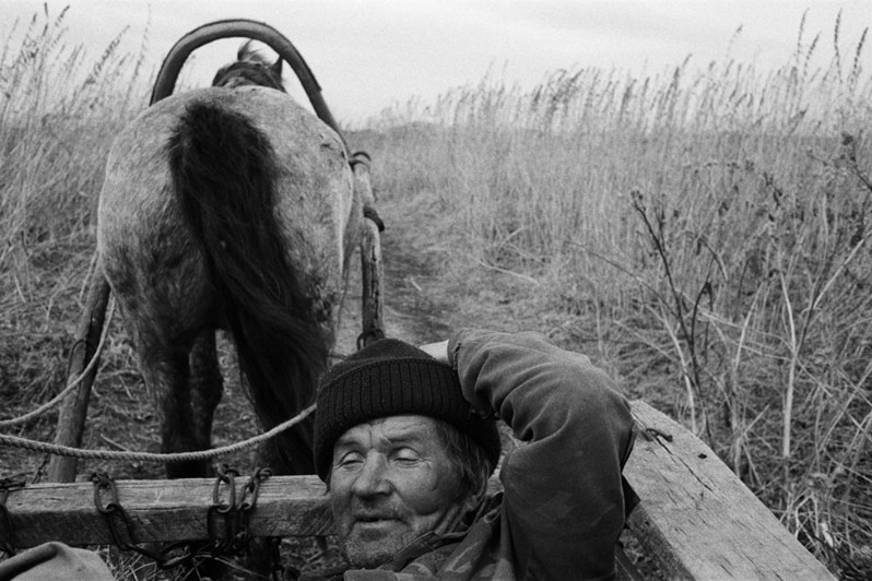 село Покровка, Чановский район, Новосибирская область, Россия. 2010