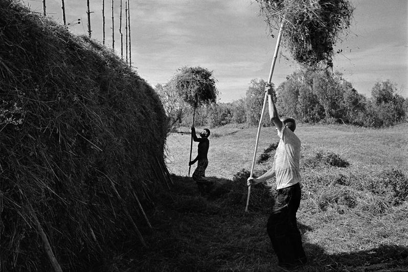 деревня Ефимово, Верхнетоемский район, Архангельская область, Россия. 2010
