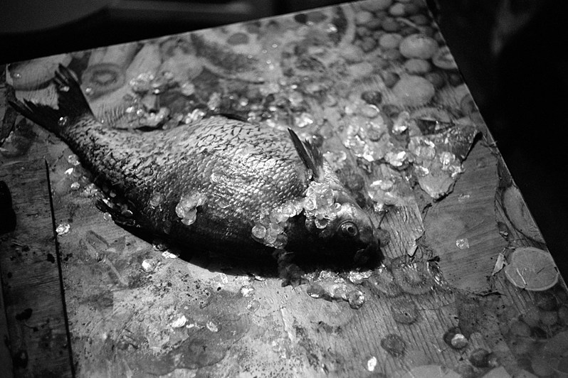 деревня Погост, Пудожский район, Карелия, Россия. 2013