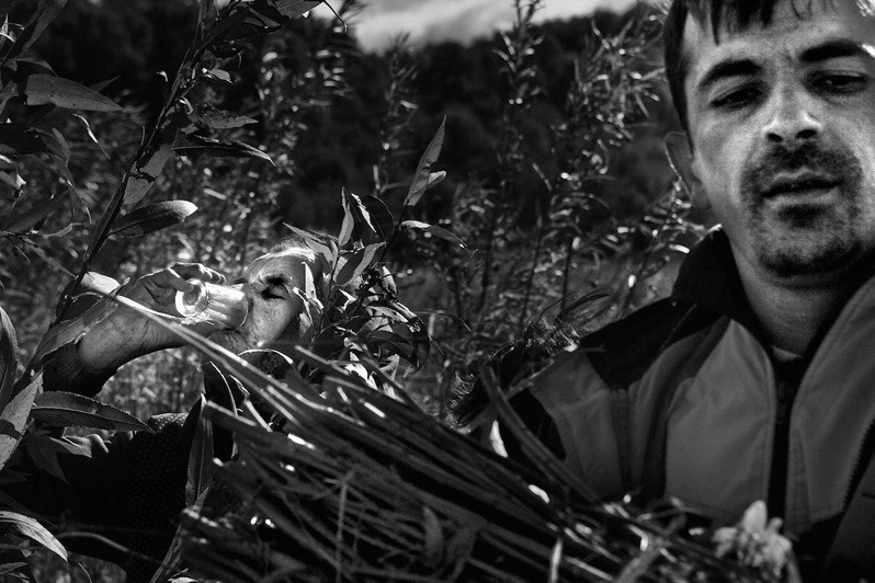 село Иза, Хустский район, Закарпатская область, Украина. 2006