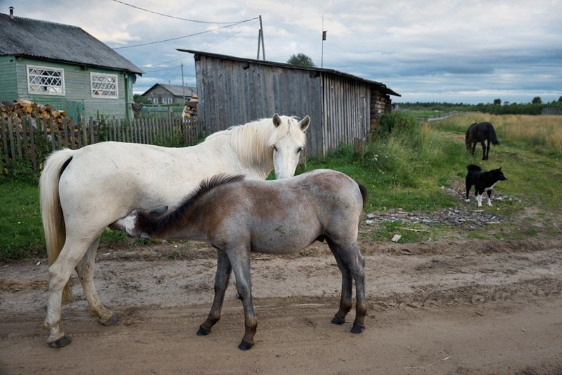 Vazhgort village, Udorsky district, Komi Republic, Russia. 2020