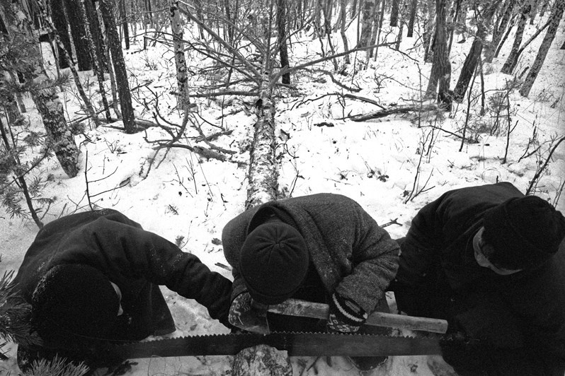 Зимняя работа, близ деревни Дунд Урт, Баянцогтский район, провинция Туве, Монголия. Январь 2002