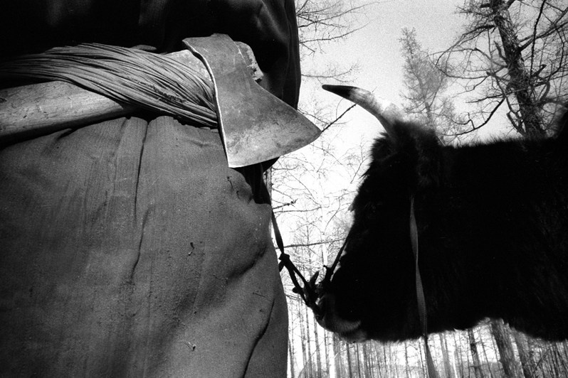 Сущность кочевой жизни, в окрестностях Булага, Тунэлский район, провинция Хувсгел, Монголия. Январь 2002