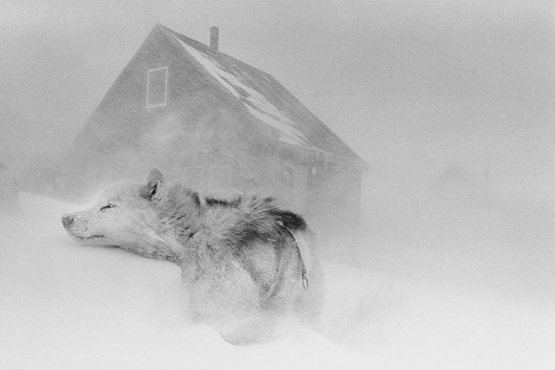 Glacier Storm, Scoresbysund, Greenland, Kingdom of Denmark. 1995