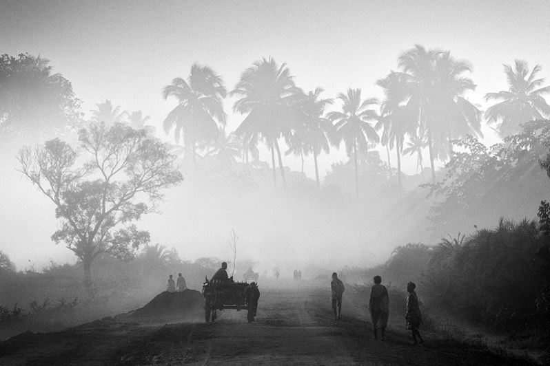 Morning mist on the west coast, near Morondava, Menabe region, Toliara province, Republic of Madagascar. 2011