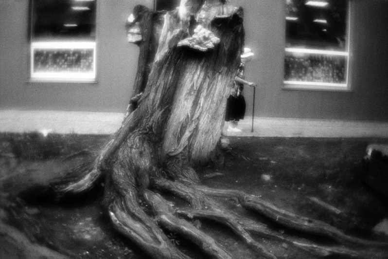 Челябинская область, Россия. Июль 2018