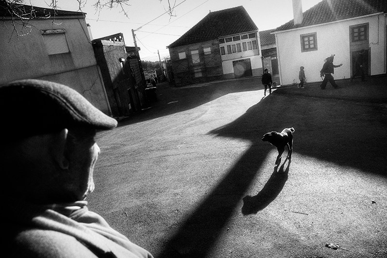 The “Chocalheiro” during the “apanha” of alms under the watchful eye of a villager, Mogadouro municipality, Bragança district, Trás-os-Montes region, Portugal. 2019