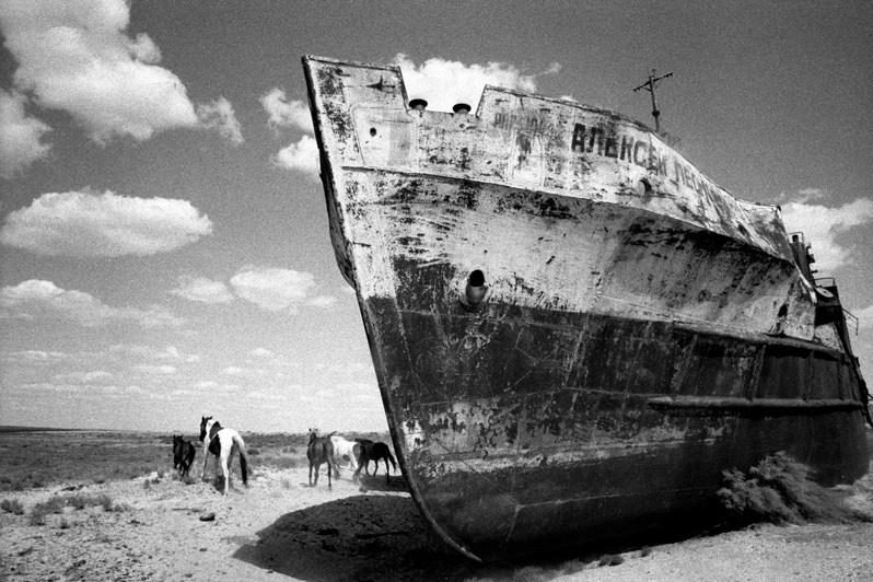 The same environment for all, around the Zhalanash village, Aralsk district, Kyzyl-Orda region, Kazakhstan. August 2001