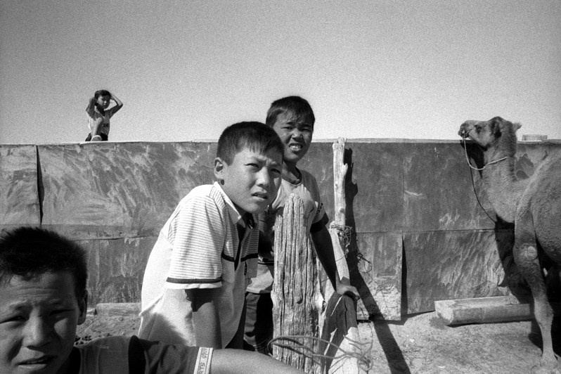 Feeding time for camels, Zhalanash village, Aralsk district, Kyzyl-Orda region, Kazakhstan. August 2001
