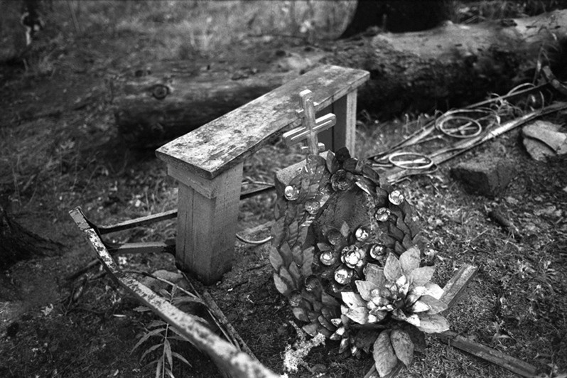 На заброшенном кладбище, деревня Тамбичозеро, Пудожский район, Карелия, Россия. Июль 2006