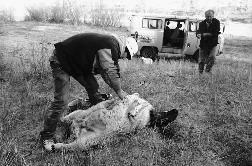 Tsagaan-Üür district, Khövsgöl province, Mongolia. 2010